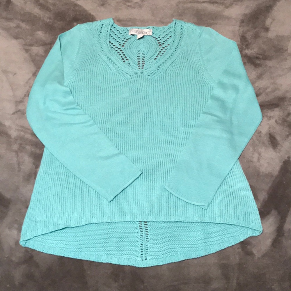 Turquoise sweater with detailed back